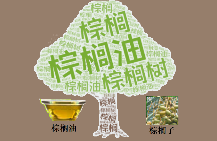 棕榈油技术分水岭徘徊，驱动逻辑变化解析
