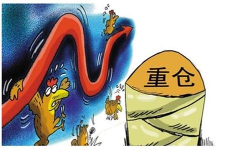 外汇仓位管理：重仓易爆仓，轻仓策略更稳妥